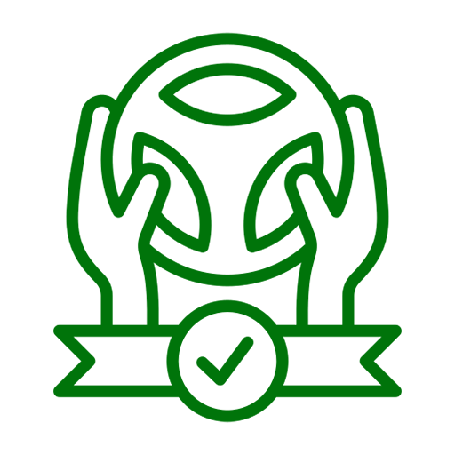 Icon-2